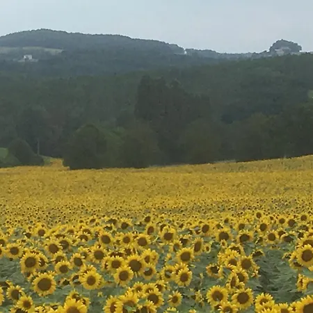 Ferienhaus Domaine Bessiere Vezere *